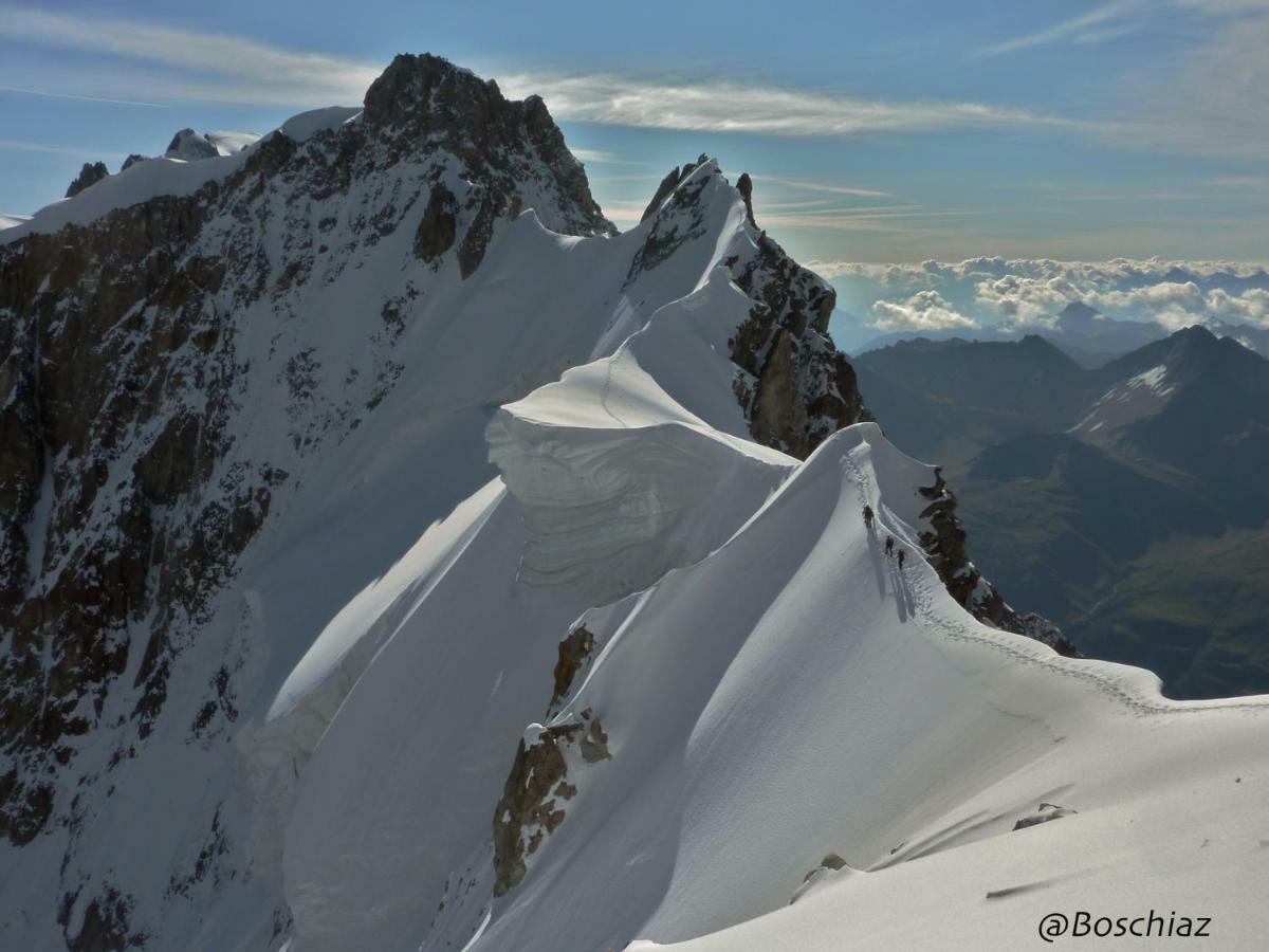 Maison I Love Mont Blanc Courmayeur Eksteriør billede